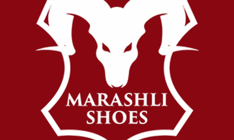 Website Design & Branding for Marashali