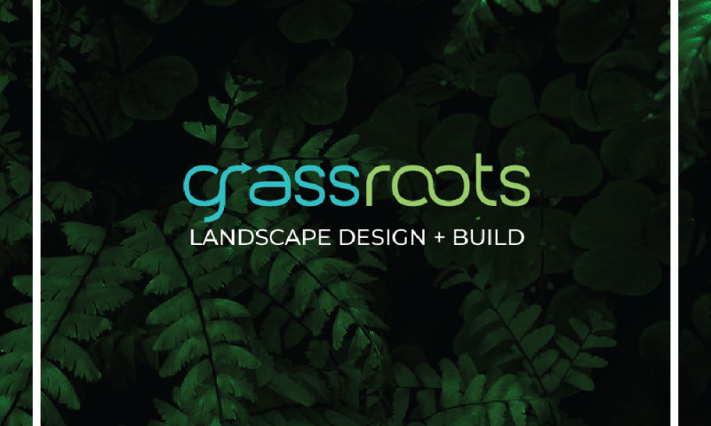Grassroots - Brochure