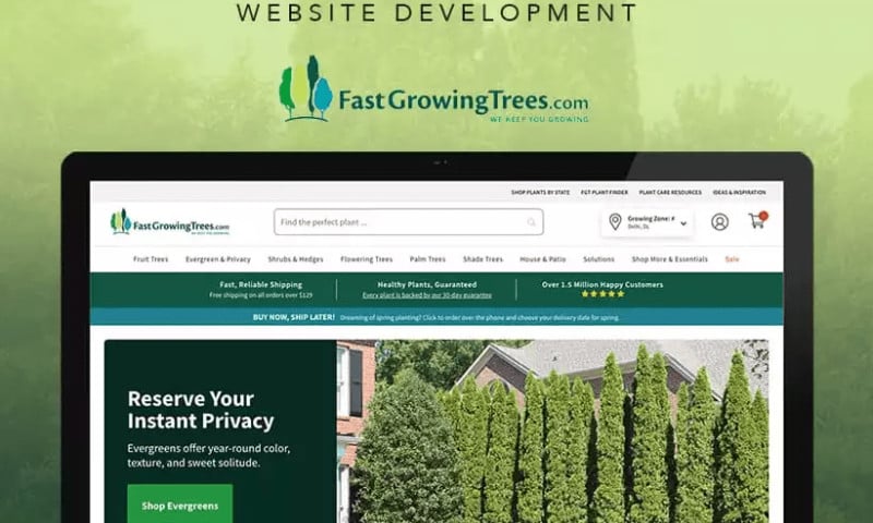 Fast Growing Trees