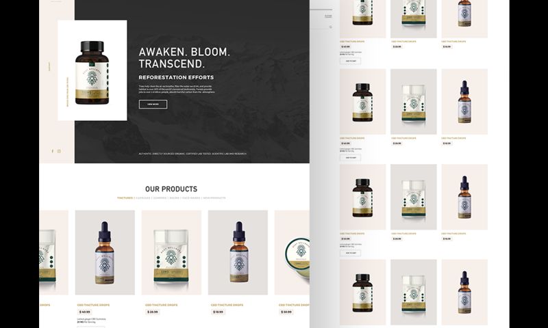 Root Wellness