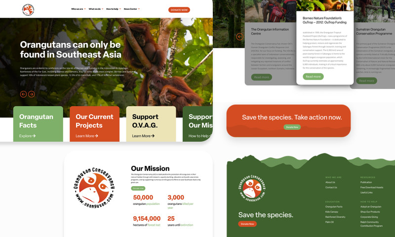 Orangutan Conservancy