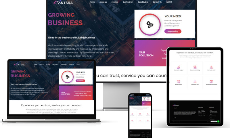 AntsRA's Digital Presence with Modern Web Design and SEO