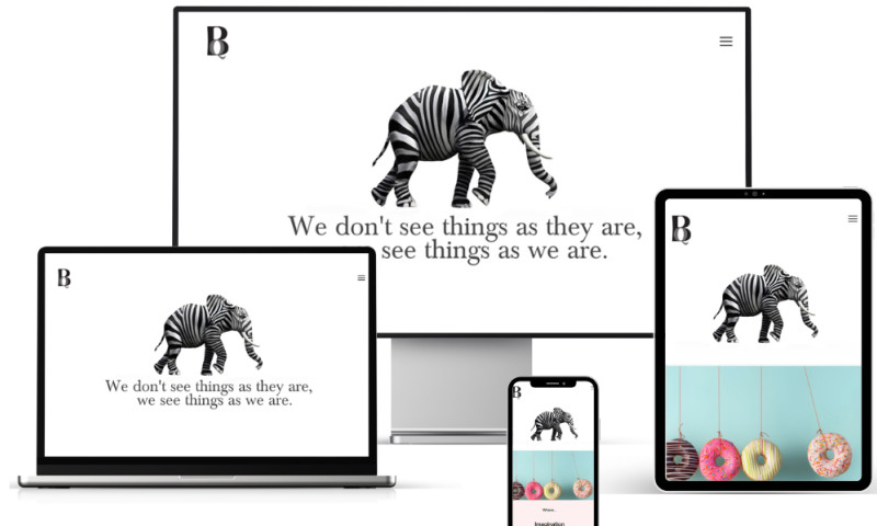 Branquila with Strategic Web Design and Branding