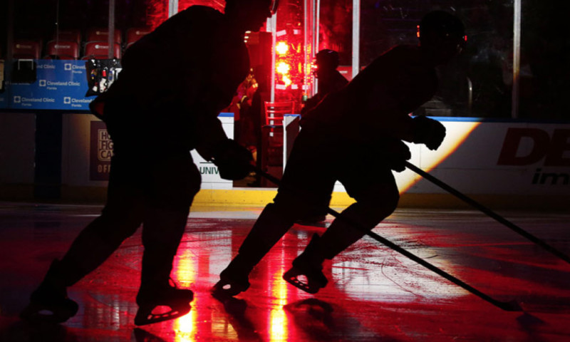 Facebook Case Study: NHL.TV