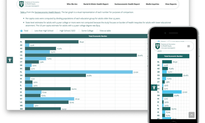 Transforming Health Inequity Data into A Powerful Online Resource