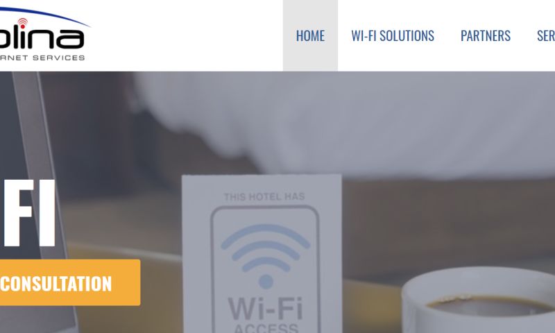 Aerolina Website Development