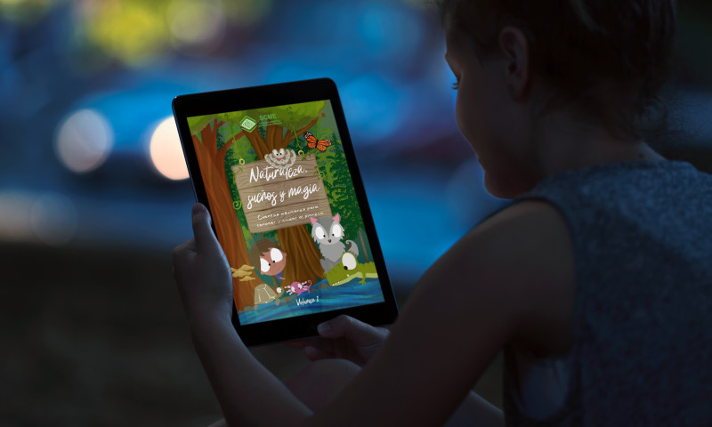 Children's story book design