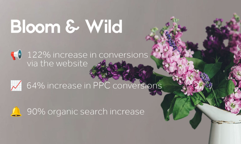 Geo Modified search strategy for Bloom and Wild