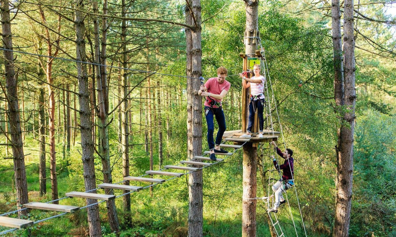Achieving +22% increase in bookings YoY for Go Ape