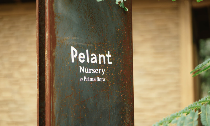 Pelant