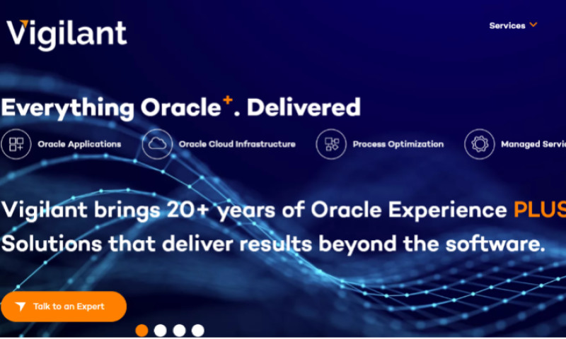 https://vigilant-inc.com/