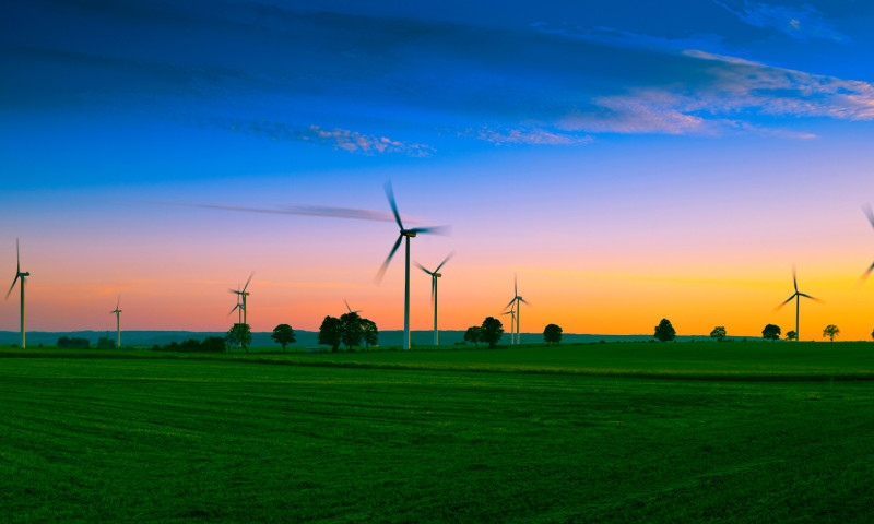 Synenergy Advisors - Web Design, Website Development & SEO