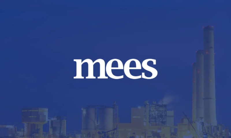 MEES - Web Design, Web Development & Digital Marketing