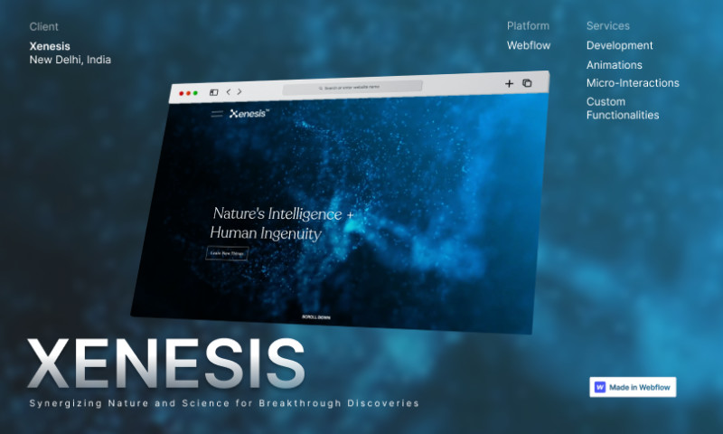 Xenesis Website Development
