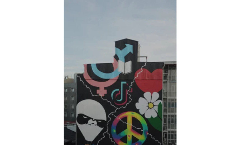 RAISE AWARENESS FOR THE UNS SDG GOALS IN TURKEY