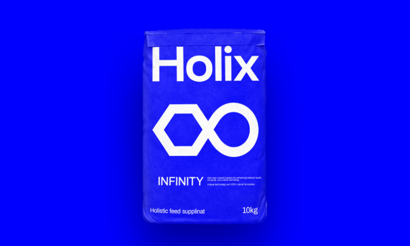 HOLIX - Branding & Strategy
