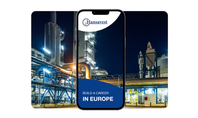 HANSAVEST - Comprehensive Digital Marketing Strategy