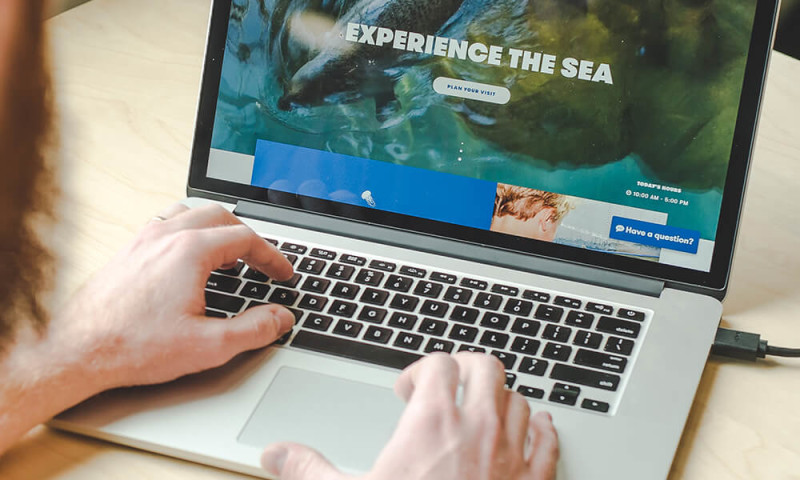 Maritime Aquarium