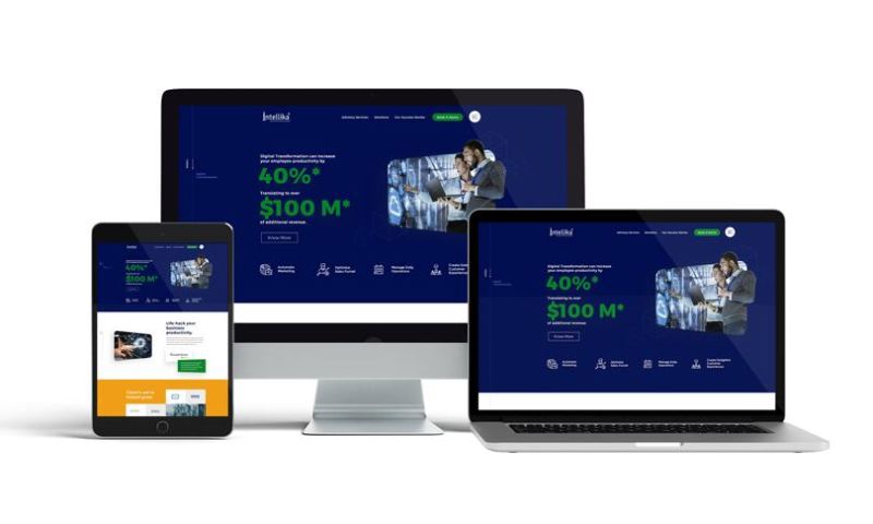 Portfolio: Web Design Services