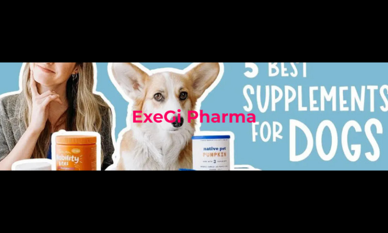 ExeGi Pharma