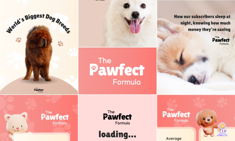 Pawfecting a Pet Brand