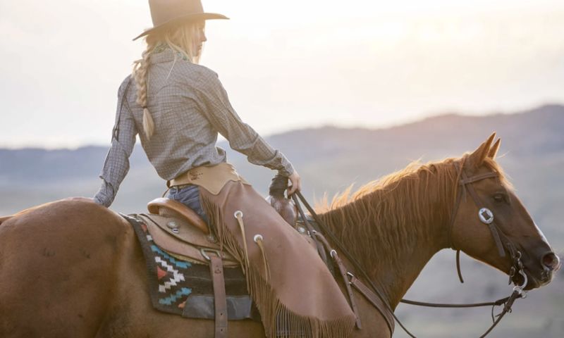 American Quarter Horse Association