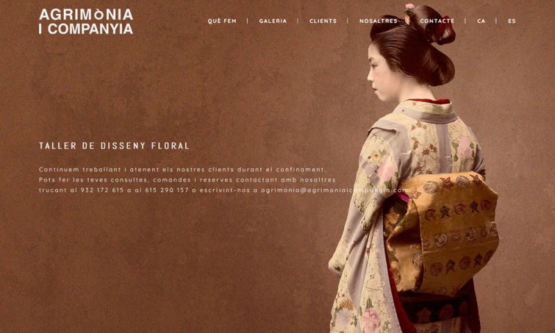 Agrimònia i Companyia