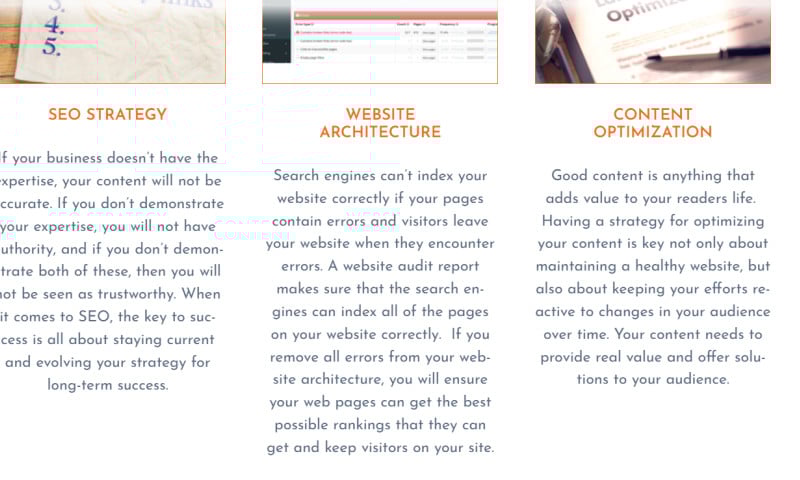 SEO - Xcite