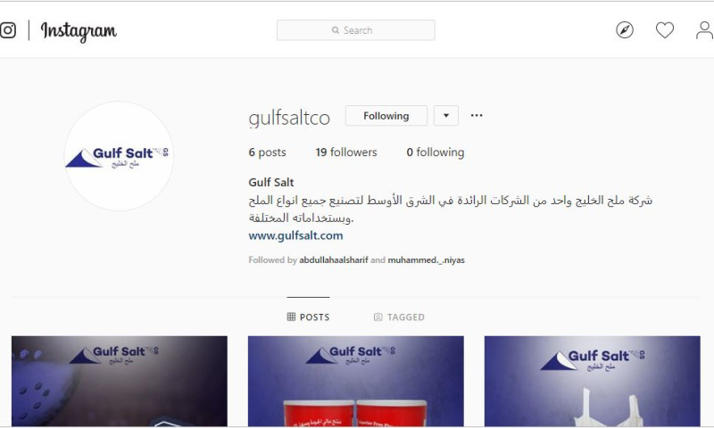 Gulf Salt Social Media