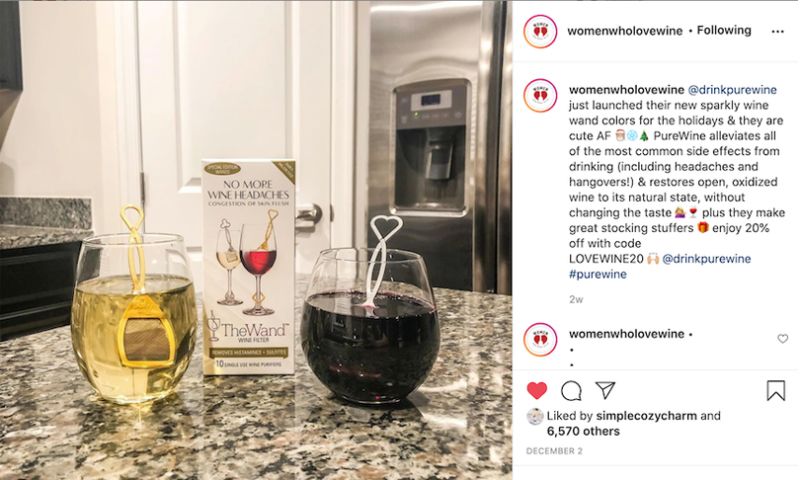Influencer Marketing Case Study