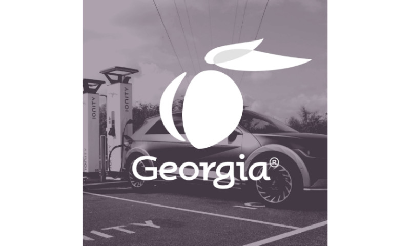Georgia Department of Economic Development - BUILDING AN ELECTRIC VEHICLE ECOSYSTEM