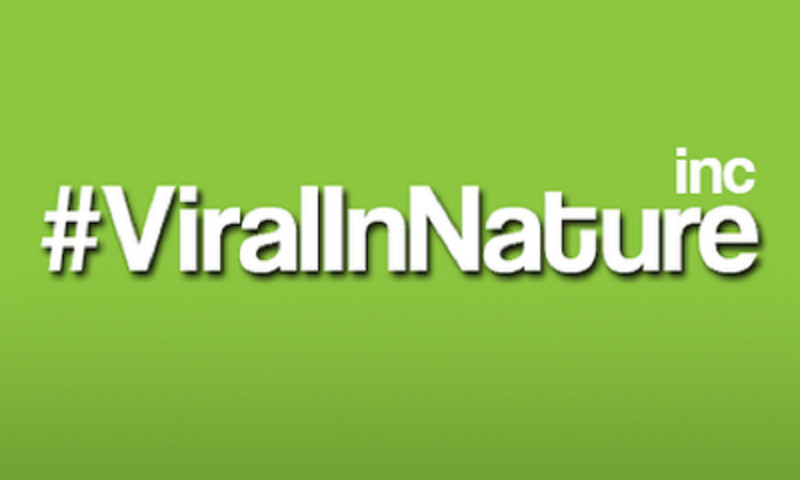 Viral In Nature