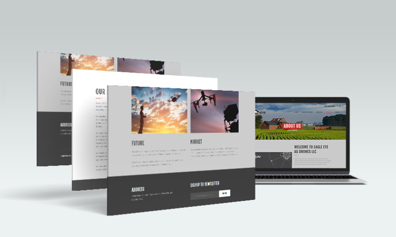 Eagle Eye Ag Drones
