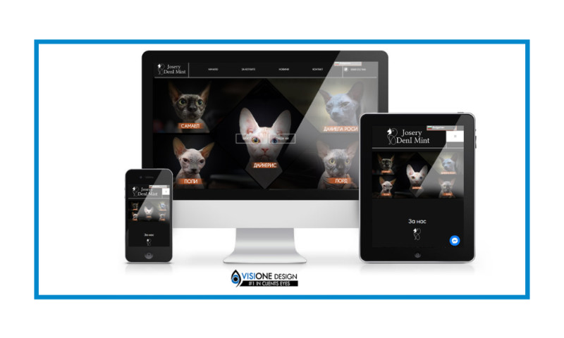 Sphynx-Cat.info