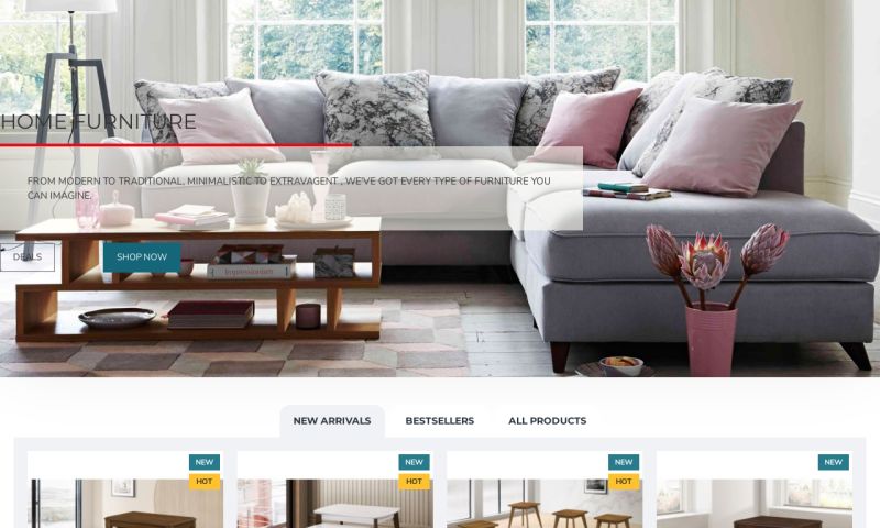 Furniture Store Website Development and Marketing