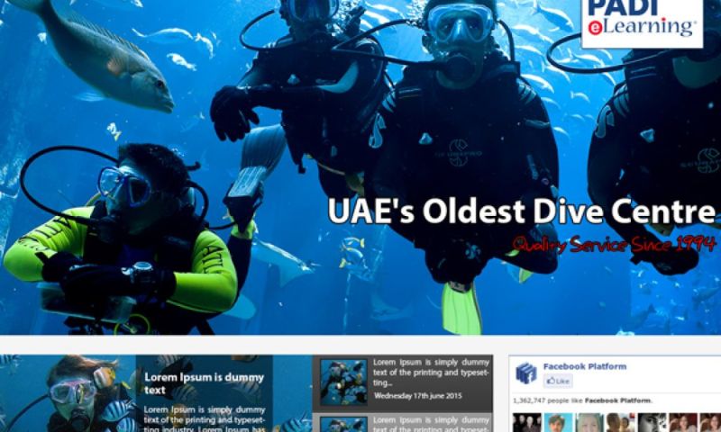 7 Seas Divers
