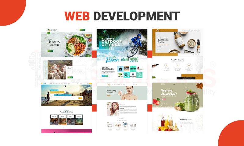 Web Design Marvels