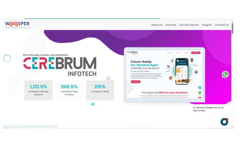 Product Marketing of Cerebrum