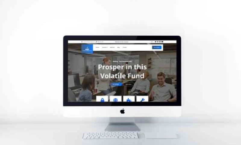Consultant Company