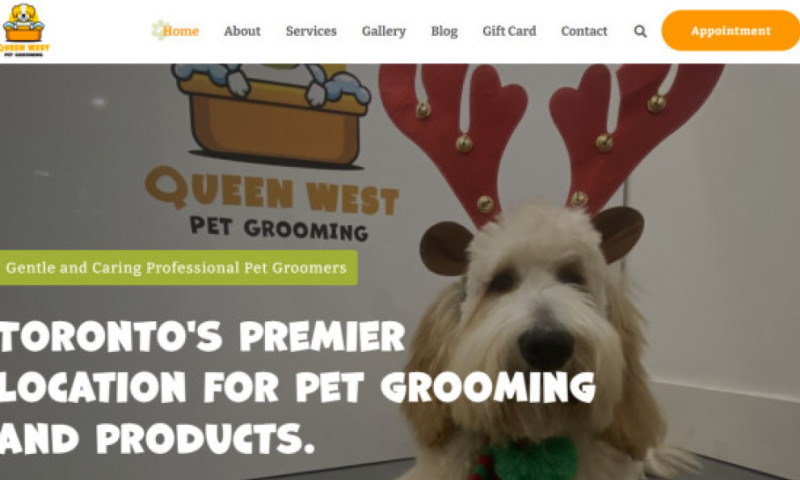 Queen West Pet Grooming
