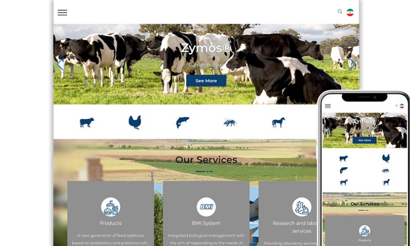 Web Design For KIMIAZYME