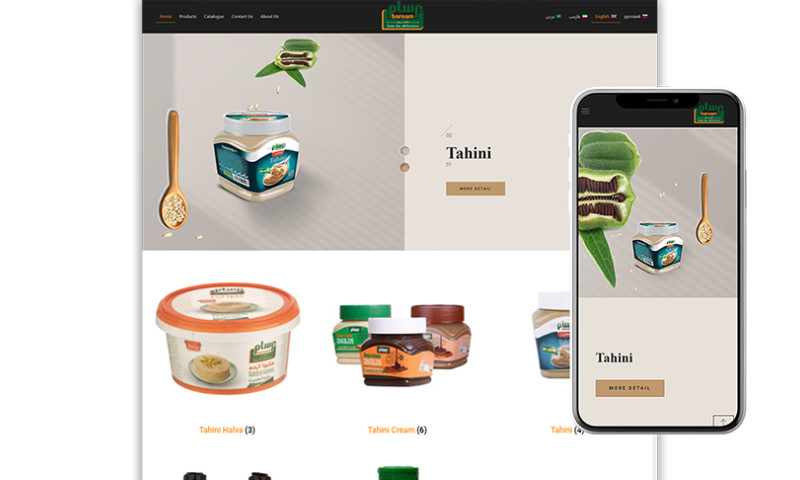 Web Design For BARSAM Co.
