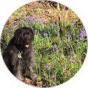 Andreas Papadopoulos