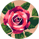 Tuscan Rose Vineyards