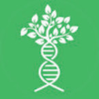 Theo Sebastian Tiltnes