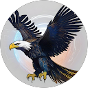 Hasan Mammadov (Cybereagle)