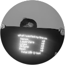 Liubomyr Nesterovych