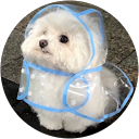 16 - Nguyễn Ngọc Hân