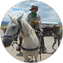 American WarmbloodRegistry