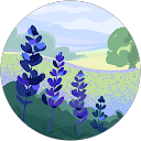 Kristin Dodd-Tarleton